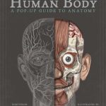 The Human Body: A Pop-Up Guide to Anatomy