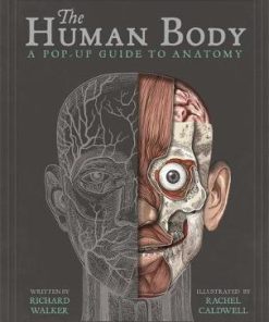 The Human Body: A Pop-Up Guide to Anatomy