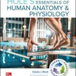 ISE Hole's Essentials of Human Anatomy & Physiology