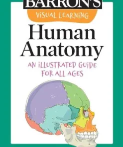 Visual Learning: Human Anatomy: An Illustrated Guide for All Ages