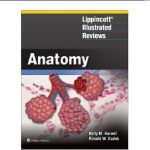 Lippincott® Illustrated Reviews: Anatomy