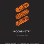 Biochemistry The molecules of life
