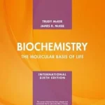 Biochemistry The molecular basis of life International edition