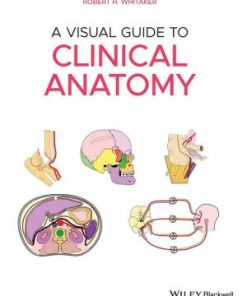 A Visual Guide to Clinical Anatomy