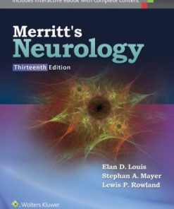 Merritt's Neurology 13rd Edition