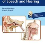 Anatomy and Physiology of Speech and Hearing