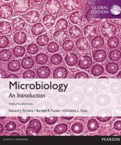 Microbiology An Introduction Global Edition 12th Edition