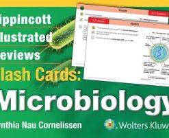 Lippincott Illustrated Reviews Flash Cards Microbiology