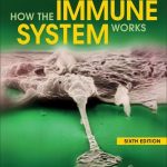 How the Immune System Works 6th Edition