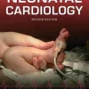 Neonatal Cardiology 2nd Edition