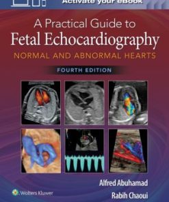 A Practical Guide to Fetal Echocardiography Normal and Abnormal Hearts 4th Edition