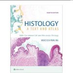 Histology A Text and Atlas 8th Edition