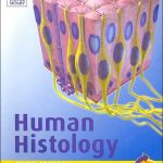 Human Histology 3rd Edition