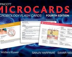 Lippincott Microcards Microbiology Flash Cards 4th Edition