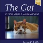 THE CAT Clinical Medicine and Management 2nd Edition
