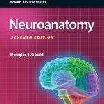BRS Neuroanatomy Board Review Series