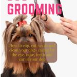 Dog Grooming How to clip, cut wash and clean your dog caring for the eye nose teeth and ear of your dog