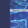 Planner for DOCTOR
