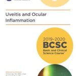BCSC Uveitis and Ocular Inflammation