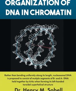 Organization of DNA in Chromatin