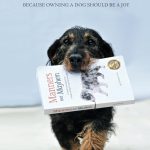 The Well Mannered Dog Because owning a dog should be a joy