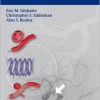 Handbook of Neuroendovascular Surgery