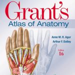 Grant's Atlas of Anatomy