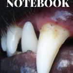 DENTIST NOTEBOOK