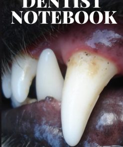 DENTIST NOTEBOOK