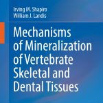 Mechanisms of Mineralization of Vertebrate Skeletal and Dental Tissues