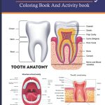 Dental Anatomy Coloring Book And Activity Book