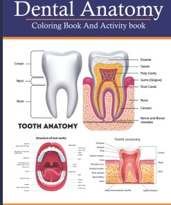 Dental Anatomy Coloring Book And Activity Book