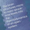 The brain structures micro to nano space time levels into the thermodynamics of an open system