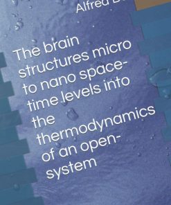 The brain structures micro to nano space time levels into the thermodynamics of an open system