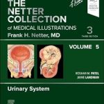 The Netter Collection of Medical Illustrations Urinary System Volume 5 Volume 5 Netter Green Book Collection Volume 5