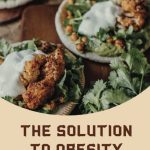 The Solution To Obesity Zero Carb Recipes And Intermittent Fasting Plans