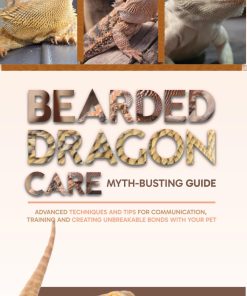 Bearded Dragon Care Myth Busting Guide Advanced Techniques and Tips for Communication Training and Creating Unbreakable Bonds with Your Pet