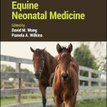 Equine Neonatal Medicine 1st Edition