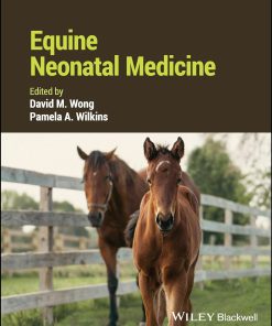 Equine Neonatal Medicine 1st Edition