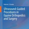 Ultrasound Guided Procedures in Equine Orthopedics and Surgery 1st Edition