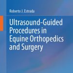 Ultrasound Guided Procedures in Equine Orthopedics and Surgery 1st Edition
