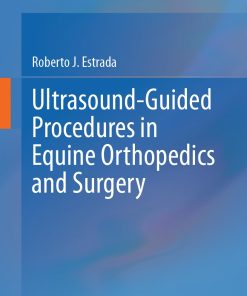 Ultrasound Guided Procedures in Equine Orthopedics and Surgery 1st Edition