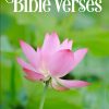 Adult Picture Book of Bible Verses With Beautiful Nature Photos