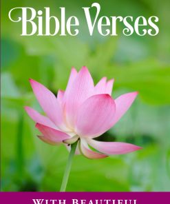 Adult Picture Book of Bible Verses With Beautiful Nature Photos