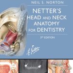 Netter's Head and Neck Anatomy for Dentistry