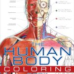 The Human Body Coloring Book The Ultimate Anatomy Study Guide