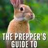 The Prepper's Guide To Raising Rabbits For Meat