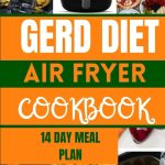 Gerd diet air fryer cookbook