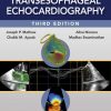 Clinical Manual and Review of Transesophageal Echocardiography 3rd Edition