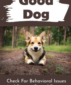 Good Dog Check For Behavioral Issues And Prevent Dental Disease